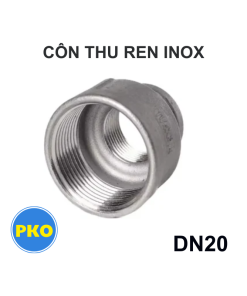 Côn thu ren inox DN20
