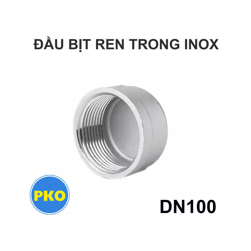 Đầu bịt ren trong inox DN100