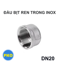 Đầu bịt ren trong inox DN20