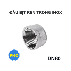 Đầu bịt ren trong inox DN80