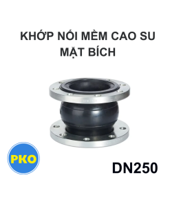 Khớp nối mềm cao su mặt bích DN250