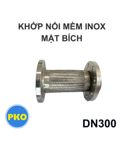 Khớp nối mềm inox mặt bích DN300