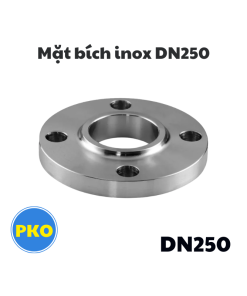 Mặt bích inox DN250