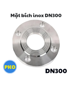 Mặt bích inox DN300
