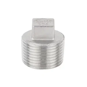 Nút bịt ren ngoài inox DN25