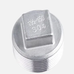 Nút bịt ren ngoài inox DN80