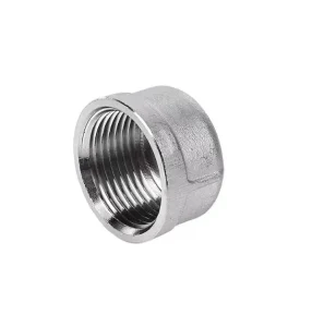 Nút bịt ren trong inox DN10