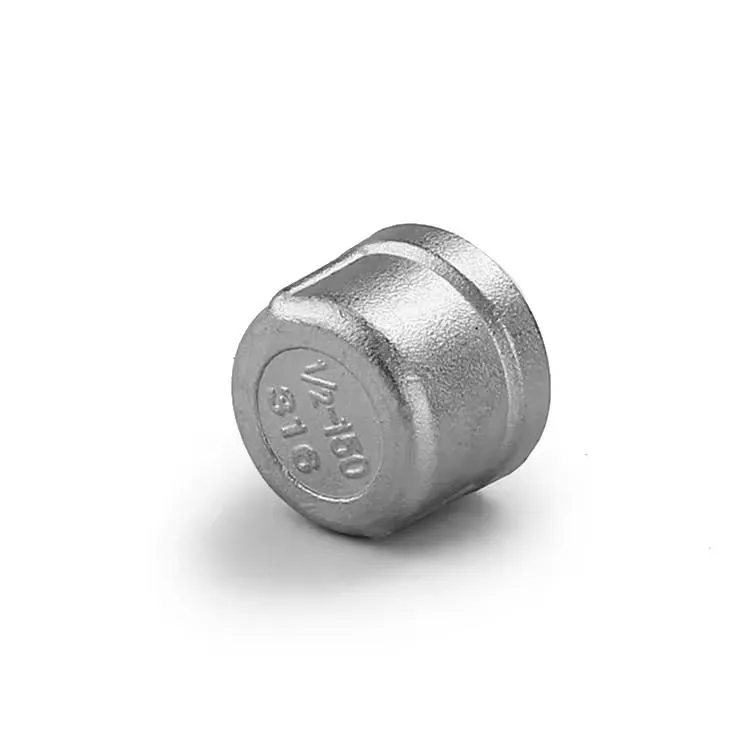 Nút bịt ren trong inox DN100