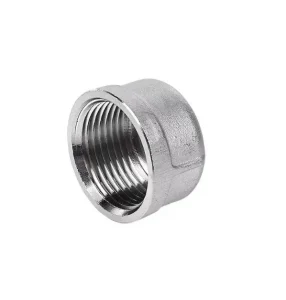 Nút bịt ren trong inox DN20
