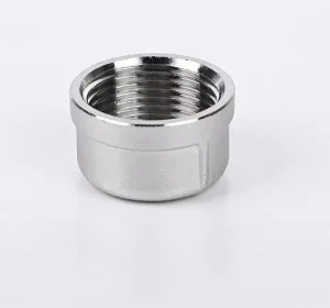 Nút bịt ren trong inox DN20
