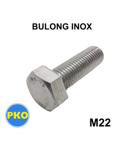 Bulong inox M22